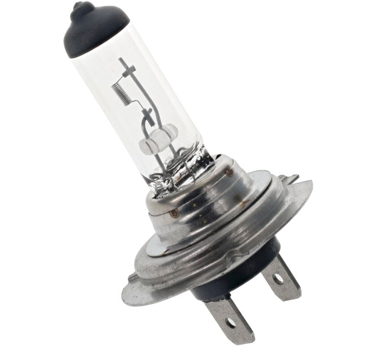 H4/H7 Halogen Bulbs