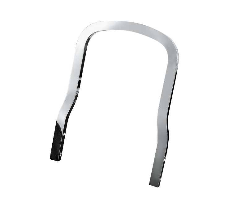 Plug & Play Sissy Bar