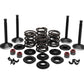 Engine Valve and Spring Kits