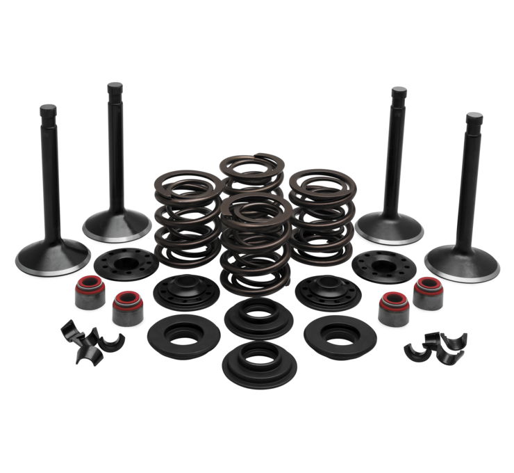 Engine Valve and Spring Kits