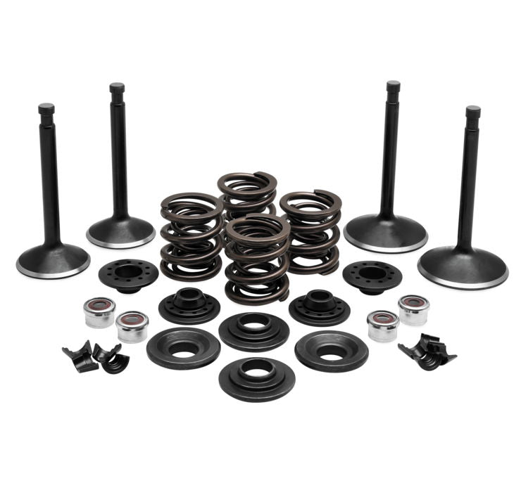 Engine Valve and Spring Kits