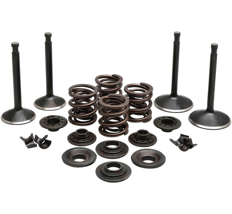 Engine Valve and Spring Kits