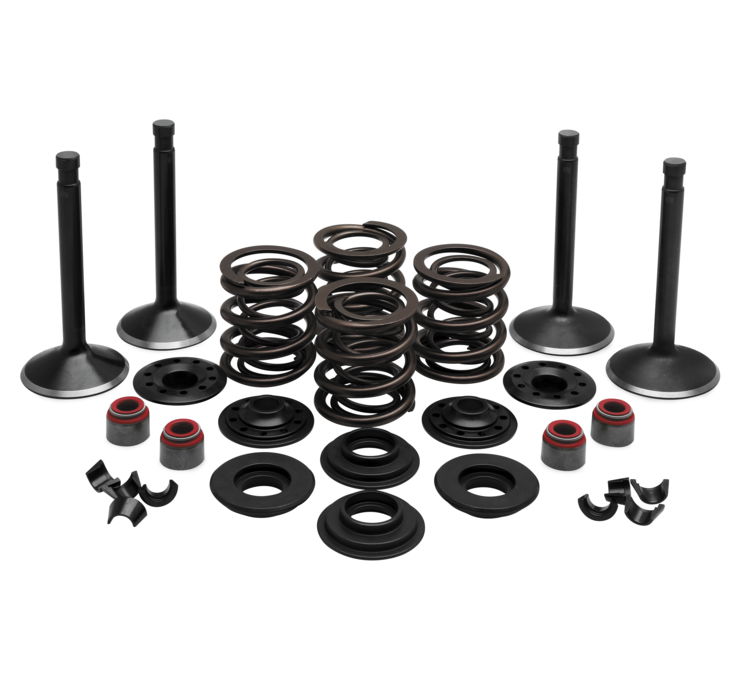 Engine Valve and Spring Kits