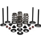 Engine Valve and Spring Kits