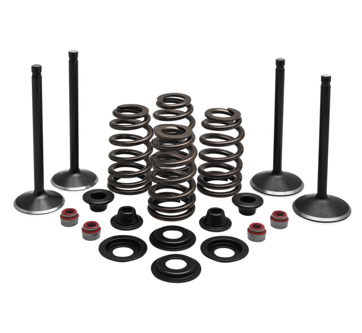 Engine Valve and Spring Kits