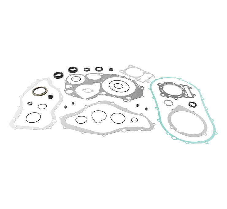 Complete Gasket Set with Oil Seals