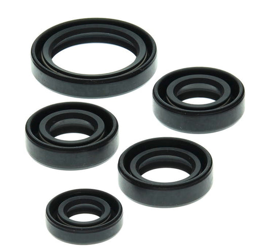 Oil Seal Set