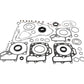 Complete Gasket Set with Oil Seals