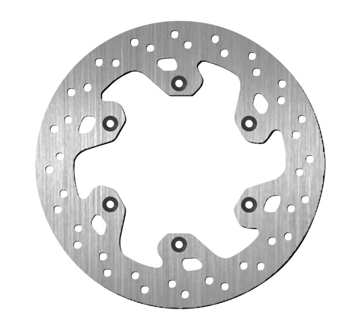 Rear Brake Rotors