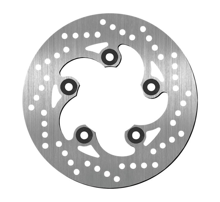 Rear Brake Rotors