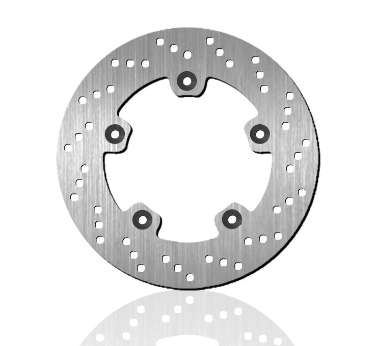 Rear Brake Rotors