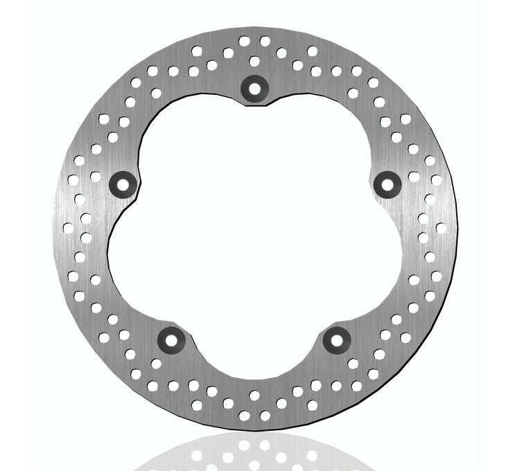 Rear Brake Rotors