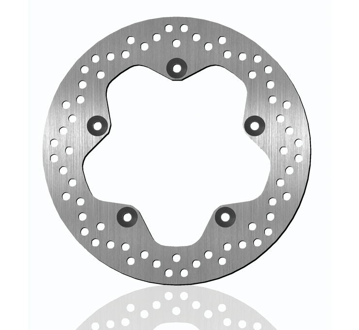 Rear Brake Rotors