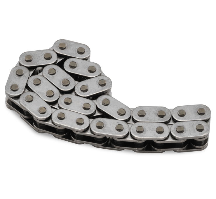 Secondary Cam Chains