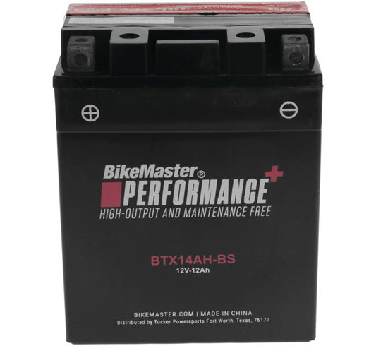 High-Performance+ Maintenance Free Batteries